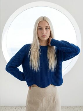 Wilfred Royal Blue Crew Neck Sweater 
100% Merino Wool size M